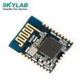 SKYLAB  Bluetooth Dongle Transmitter Spi/Uart/I2C Ant Nrf52832  integrated circuit Bluetooth 4.2 Ble Module